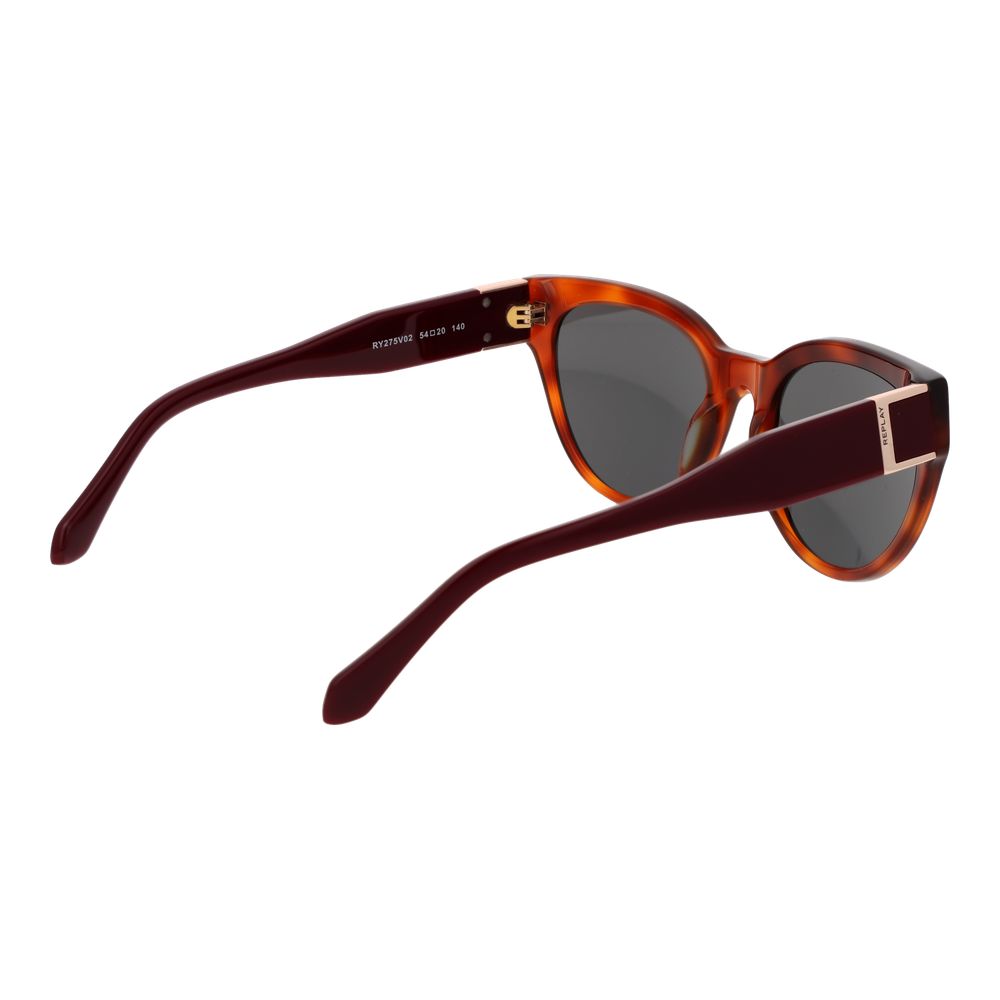 Brown Plastic Sunglasses