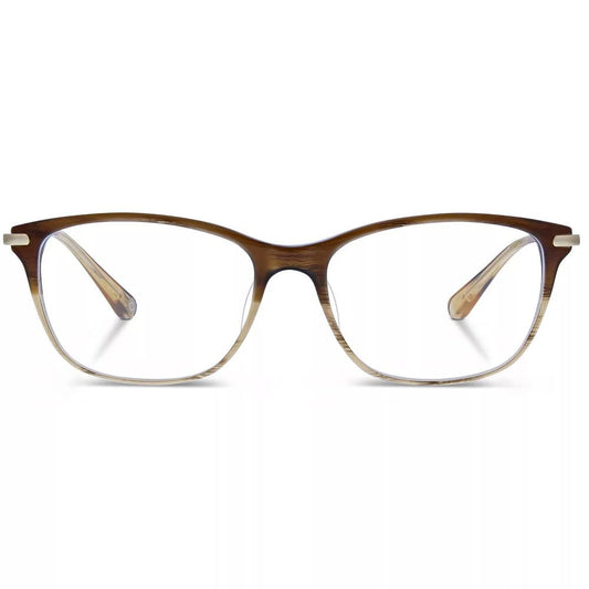 Brown Titanium Glasses (Frames)