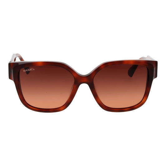 Brown Plastic Sunglasses