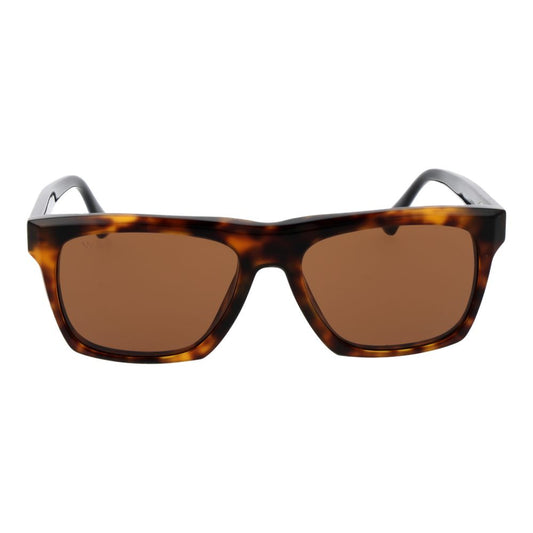 Brown Acetate Sunglasses