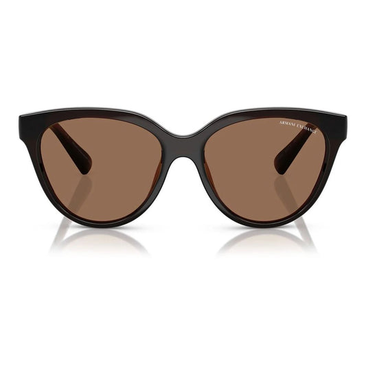 Brown Injected Sunglasses