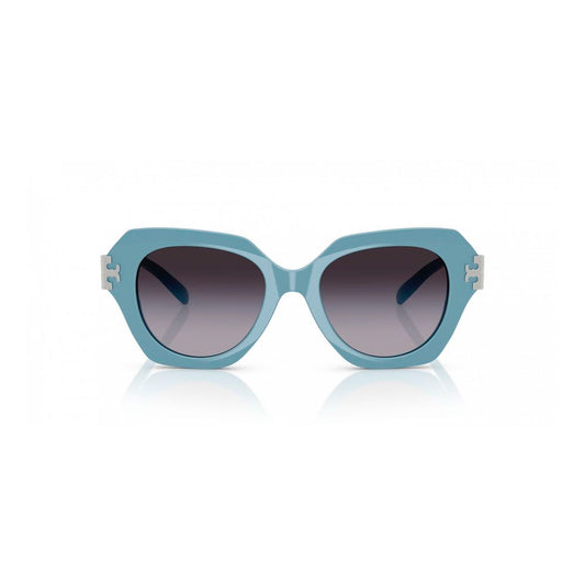 Blue Acetate Sunglasses
