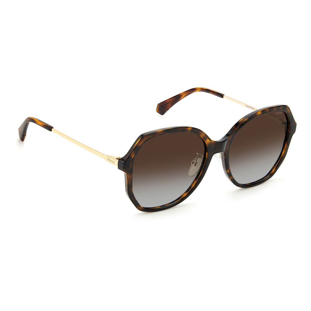Brown Plastic Sunglasses