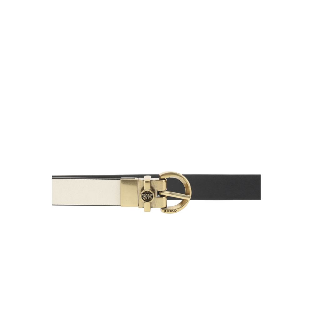 Reversible Belt