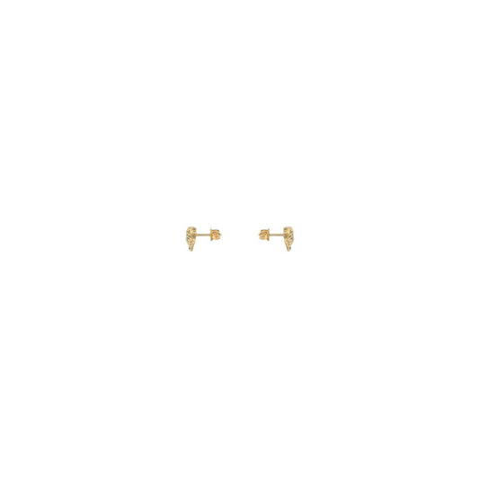 Gold Metal Earrings