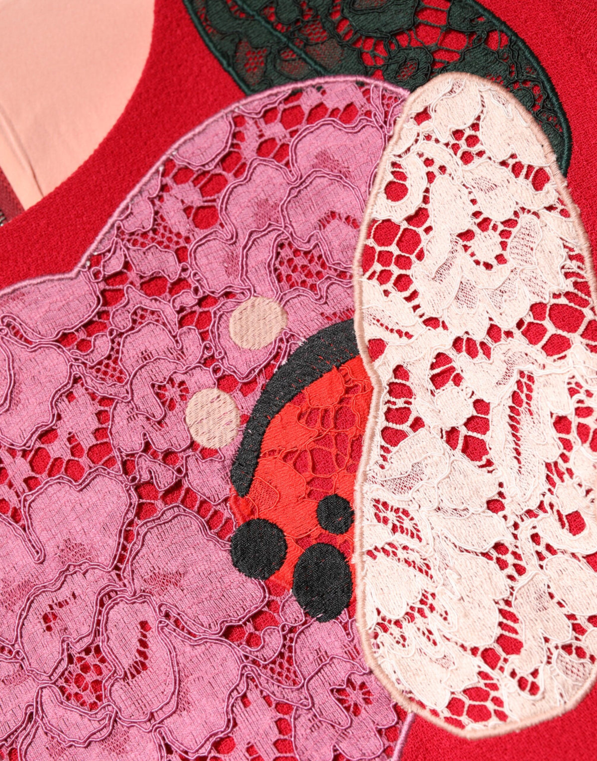 Red Lace Floral Applique A-line Mini Dress