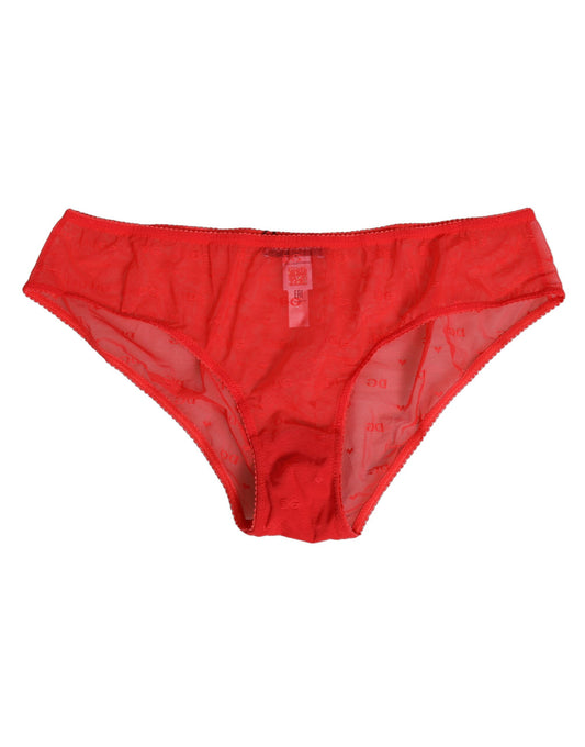 Red Nylon Sheer Mesh Lace Brief Panty Underwear