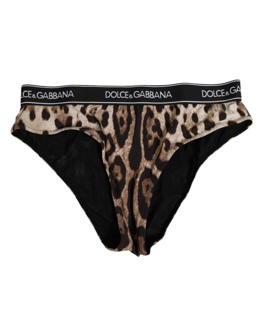 Brown Leopard Nylon High Waist Panty Underwear