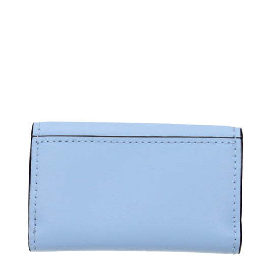 Light Blue Leather Wallet