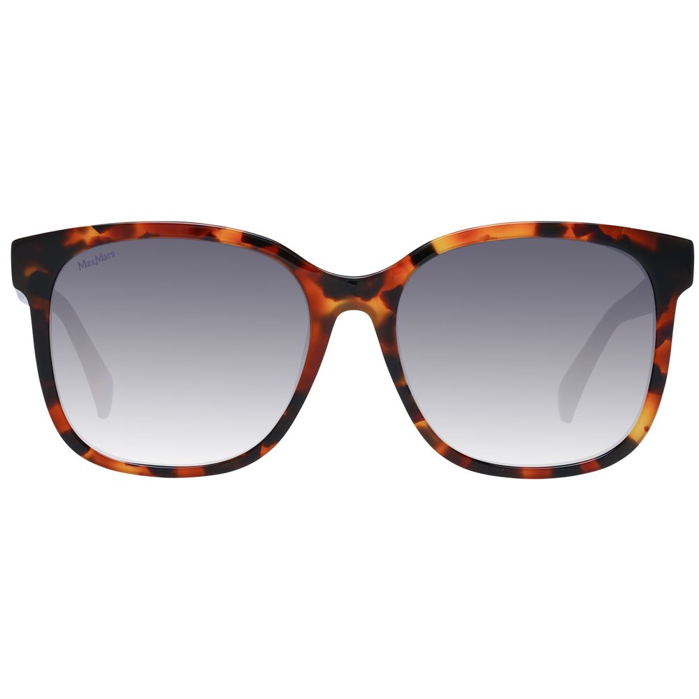 Brown Acetate Sunglasses