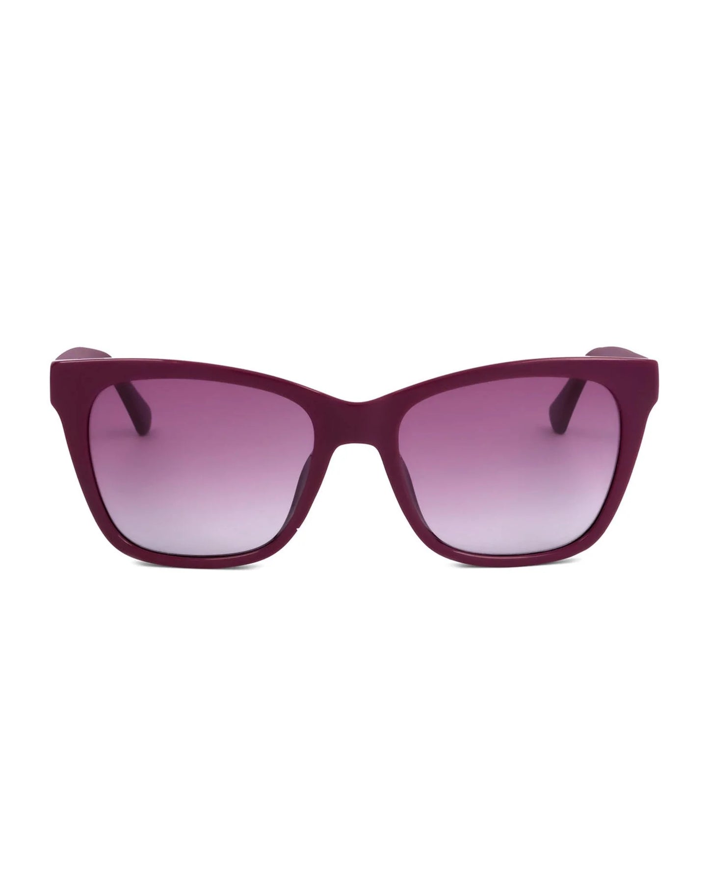 Purple Plastic Sunglasses