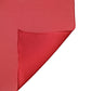 Red Silk Neck Wrap Shawl Women Stole 200cm x 64cm Scarf