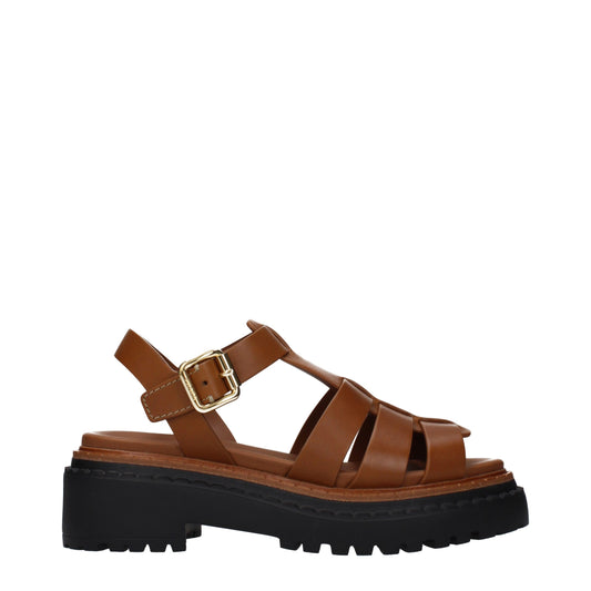 Brown Leather False