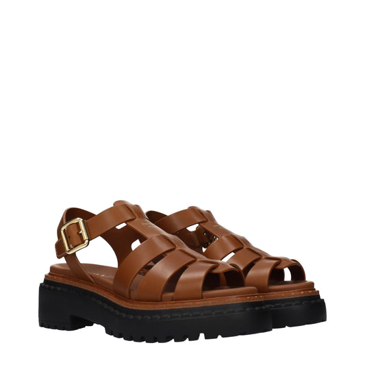 Brown Leather False