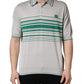 Gray Green Striped Logo Silk Polo T-shirt
