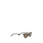 Brown Acetate Sunglasses