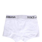 White Logo Waistband Regular Boxer Underwear