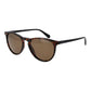 Brown Plastic Sunglasses