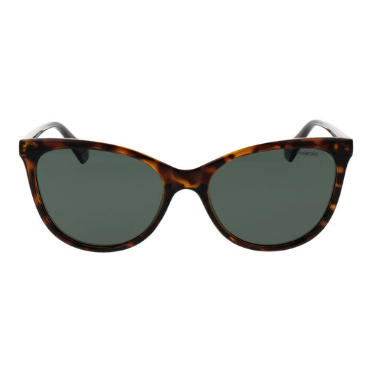 Brown Plastic Sunglasses
