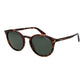 Brown Plastic Sunglasses