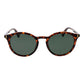 Brown Plastic Sunglasses