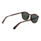 Brown Plastic Sunglasses
