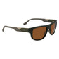 Brown Injected Sunglasses