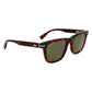 Brown Acetate Sunglasses