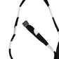 Black White Zebra Bikini Top Bottom Swimwear