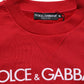 Red Cotton DG Logo Jersey Sweatshirt Sweater