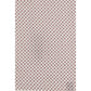 Multicolor Silk Scarf
