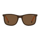 Brown Plastic Glasses (Frames)