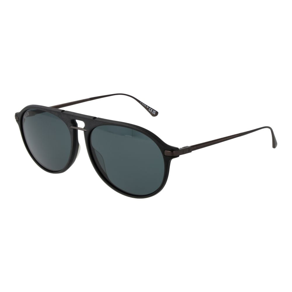 Black Titanium Sunglasses