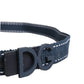 Blue Cotton Canvas DG Logo Metal Buckle Belt