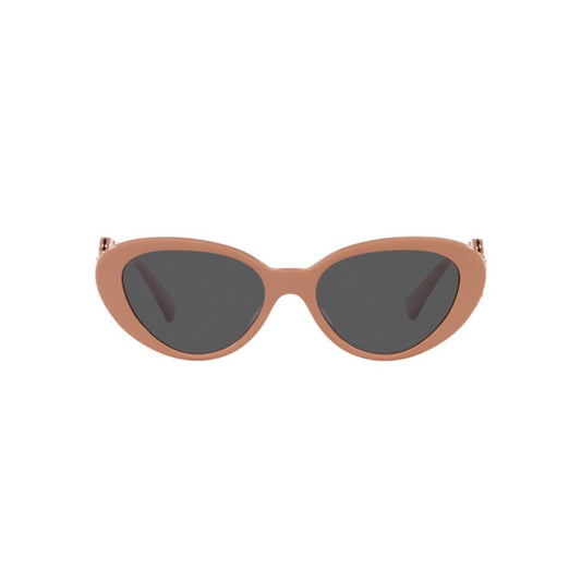Brown Acetate Sunglasses