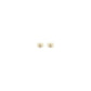 Gold Brass Earrings