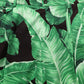 Black Green Banana Leaf Men Bermuda Shorts