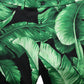 Black Green Banana Leaf Men Bermuda Shorts