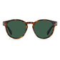 Brown Plastic Sunglasses