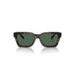 Brown Injected Sunglasses