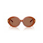 Brown Acetate Sunglasses