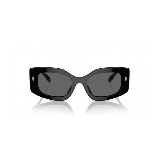 Black Acetate Sunglasses
