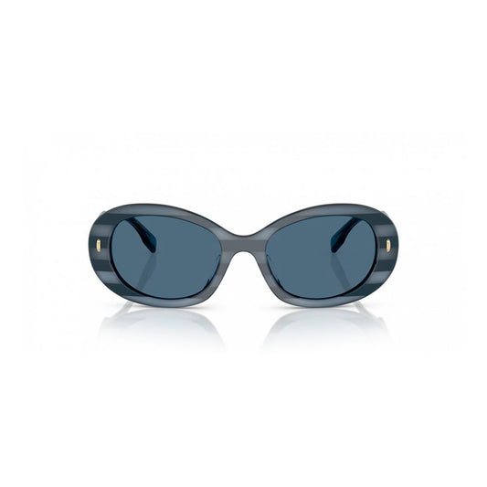 Blue Acetate Sunglasses