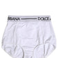 White Logo Waistband Coulotte Panty Underwear