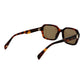 Brown Acetate Sunglasses