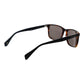 Brown Acetate Sunglasses