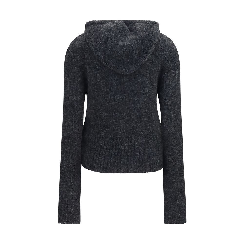Gray Alpaca Vicugna Pacos Hoodie