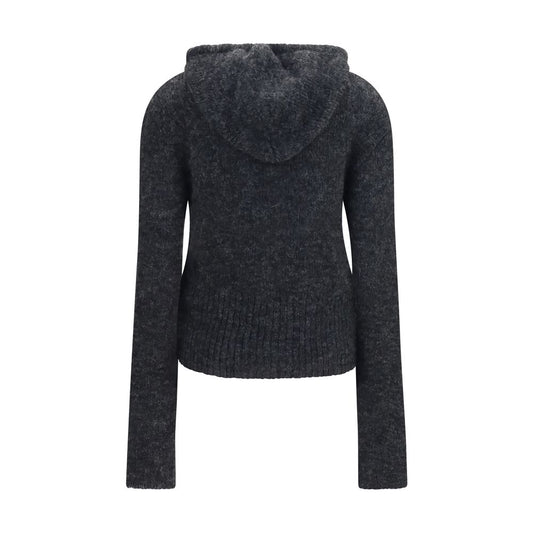 Gray Alpaca Vicugna Pacos Hoodie