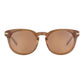 Brown Resin Sunglasses
