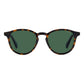 Brown Polycarbonate Sunglasses